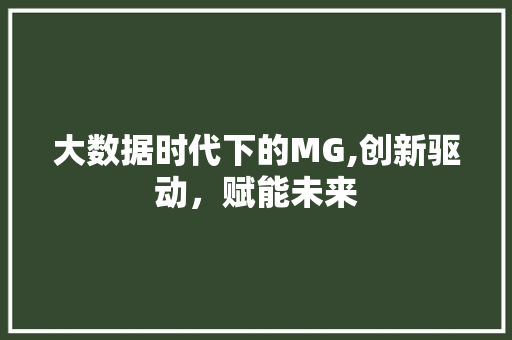 大数据时代下的MG,创新驱动，赋能未来
