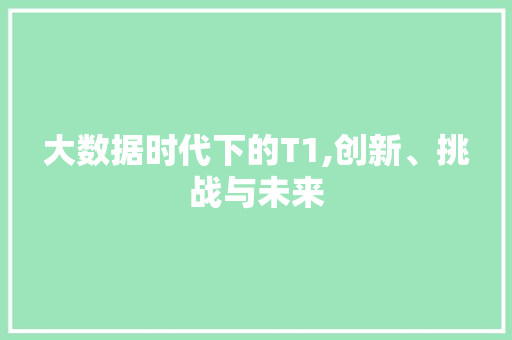 大数据时代下的T1,创新、挑战与未来 GoogleSEO