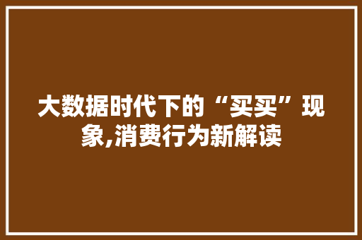 大数据时代下的“买买”现象,消费行为新解读 百度SEO