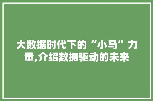 大数据时代下的“小马”力量,介绍数据驱动的未来