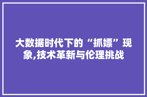 大数据时代下的“抓嫖”现象,技术革新与伦理挑战