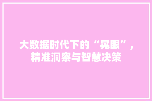 大数据时代下的“晃眼”,精准洞察与智慧决策 百度SEO