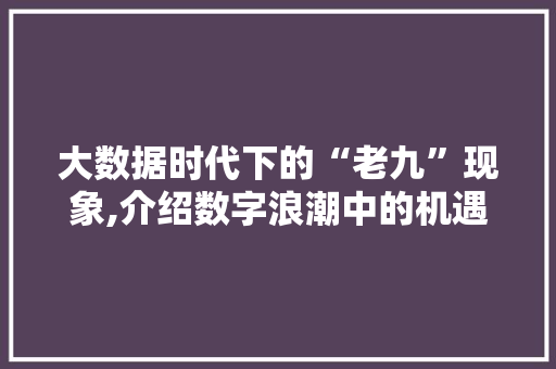 大数据时代下的“老九”现象,介绍数字浪潮中的机遇与挑战