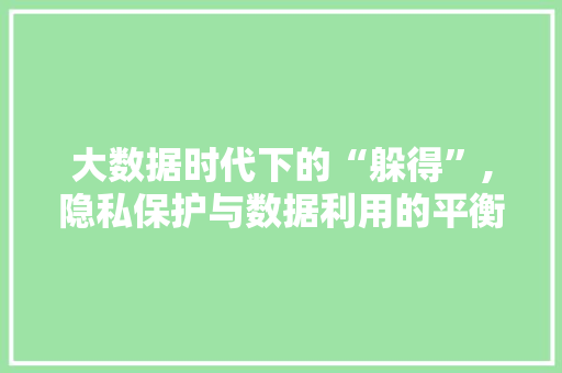 大数据时代下的“躲得”,隐私保护与数据利用的平衡之路