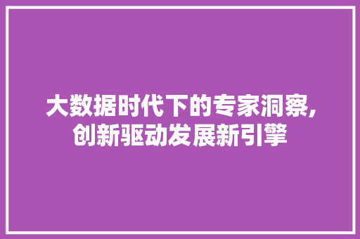 大数据时代下的专家洞察,创新驱动发展新引擎