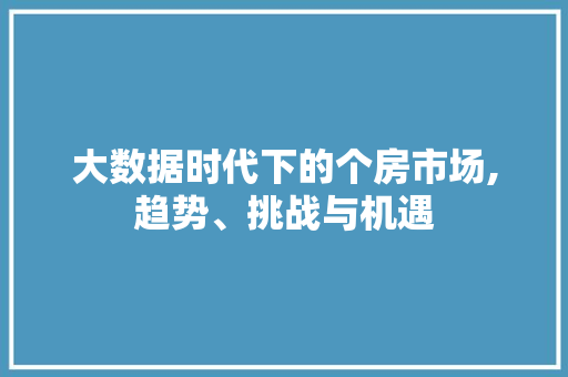 大数据时代下的个房市场,趋势、挑战与机遇
