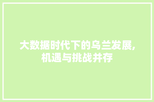 大数据时代下的乌兰发展,机遇与挑战并存
