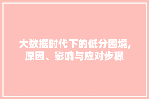 大数据时代下的低分困境,原因、影响与应对步骤