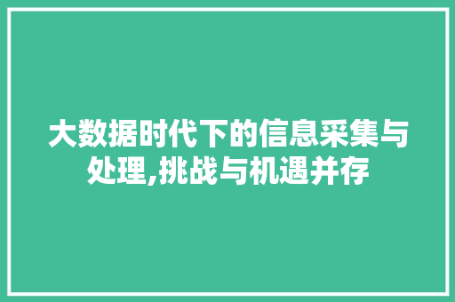 大数据时代下的信息采集与处理,挑战与机遇并存
