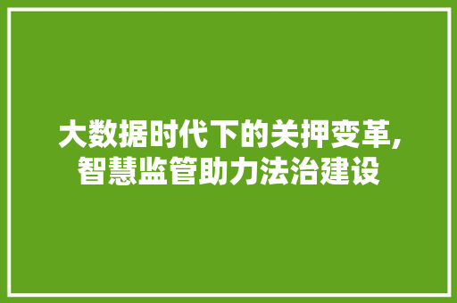大数据时代下的关押变革,智慧监管助力法治建设