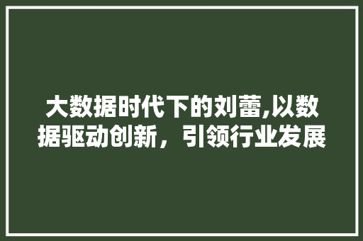大数据时代下的刘蕾,以数据驱动创新，引领行业发展