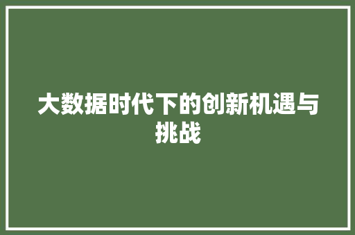 大数据时代下的创新机遇与挑战