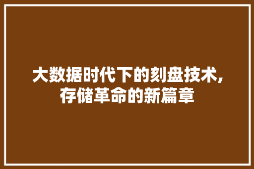 大数据时代下的刻盘技术,存储革命的新篇章