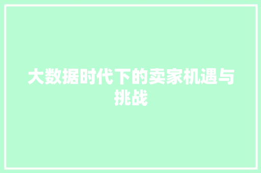 大数据时代下的卖家机遇与挑战
