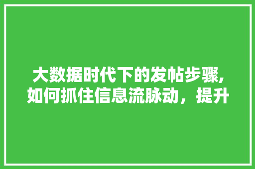大数据时代下的发帖步骤,如何抓住信息流脉动，提升内容影响力