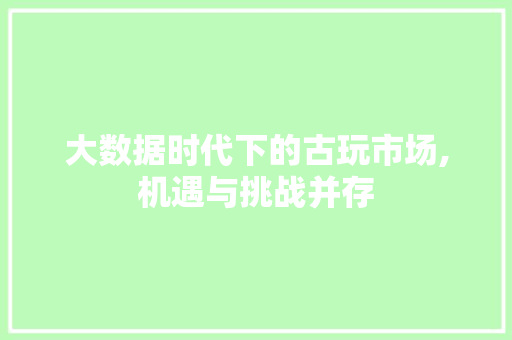 大数据时代下的古玩市场,机遇与挑战并存