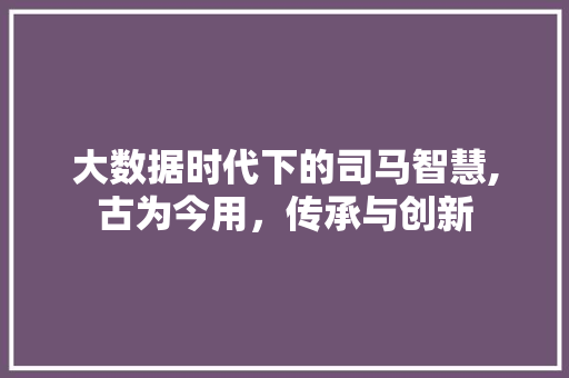 大数据时代下的司马智慧,古为今用，传承与创新