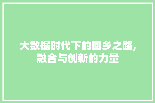 大数据时代下的回乡之路,融合与创新的力量