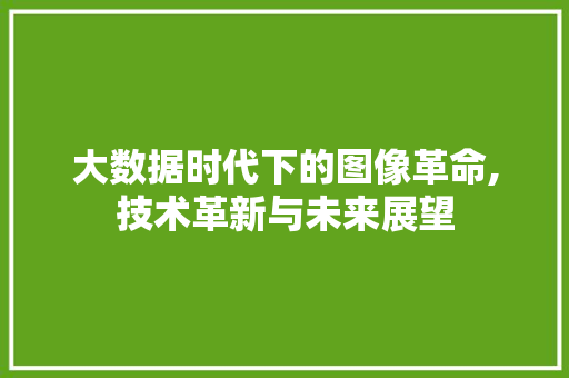大数据时代下的图像革命,技术革新与未来展望