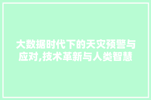 大数据时代下的天灾预警与应对,技术革新与人类智慧的结晶 GoogleSEO