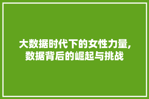 大数据时代下的女性力量,数据背后的崛起与挑战
