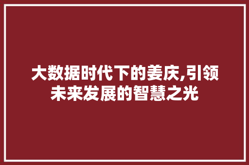 大数据时代下的姜庆,引领未来发展的智慧之光
