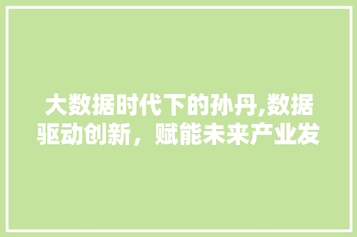 大数据时代下的孙丹,数据驱动创新，赋能未来产业发展