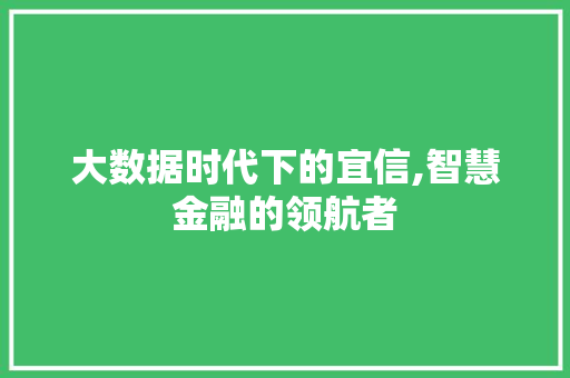 大数据时代下的宜信,智慧金融的领航者