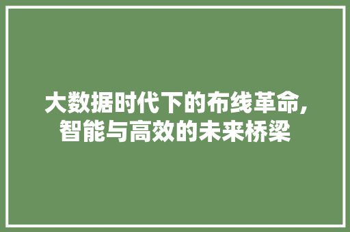 大数据时代下的布线革命,智能与高效的未来桥梁