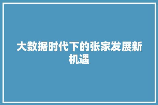大数据时代下的张家发展新机遇