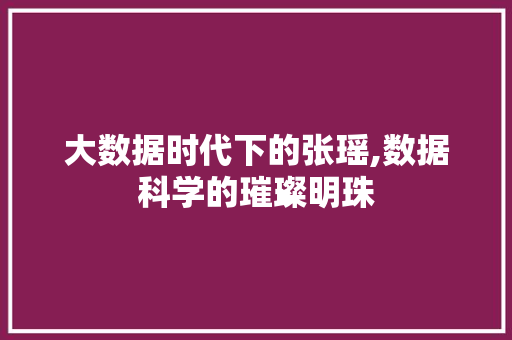 大数据时代下的张瑶,数据科学的璀璨明珠