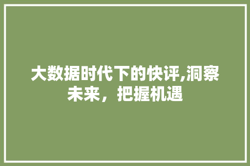 大数据时代下的快评,洞察未来，把握机遇