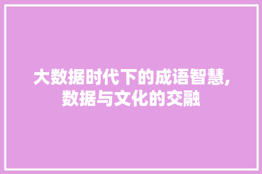 大数据时代下的成语智慧,数据与文化的交融 神马SEO