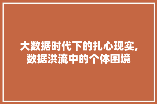 大数据时代下的扎心现实,数据洪流中的个体困境