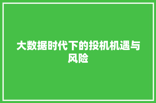 大数据时代下的投机机遇与风险 必应SEO