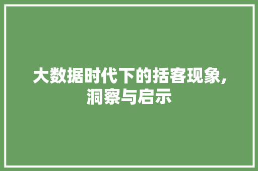 大数据时代下的括客现象,洞察与启示