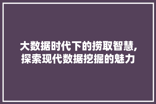 大数据时代下的捞取智慧,探索现代数据挖掘的魅力 GoogleSEO