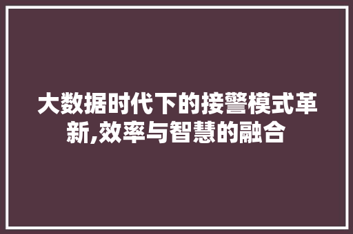 大数据时代下的接警模式革新,效率与智慧的融合