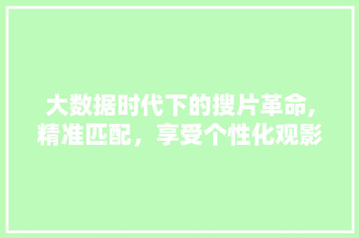 大数据时代下的搜片革命,精准匹配，享受个性化观影体验