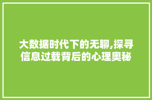 大数据时代下的无聊,探寻信息过载背后的心理奥秘
