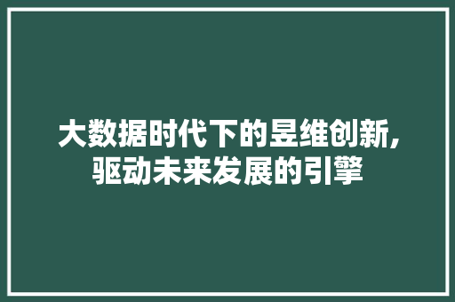 大数据时代下的昱维创新,驱动未来发展的引擎