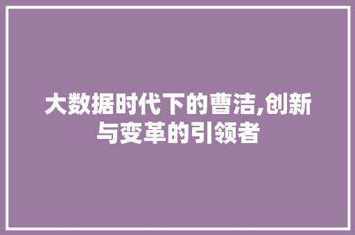 大数据时代下的曹洁,创新与变革的引领者