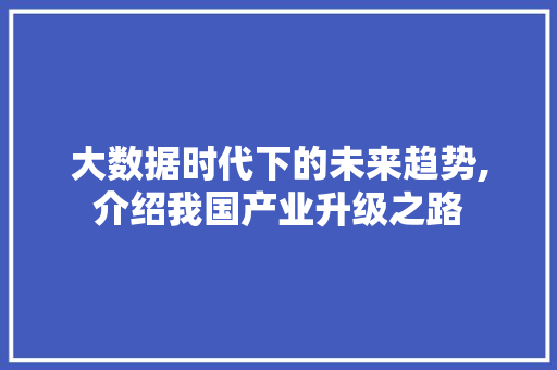 大数据时代下的未来趋势,介绍我国产业升级之路