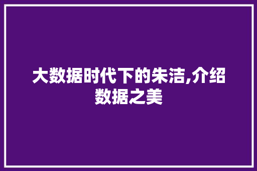 大数据时代下的朱洁,介绍数据之美