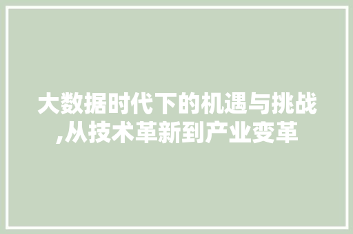 大数据时代下的机遇与挑战,从技术革新到产业变革