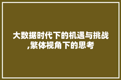 大数据时代下的机遇与挑战,繁体视角下的思考