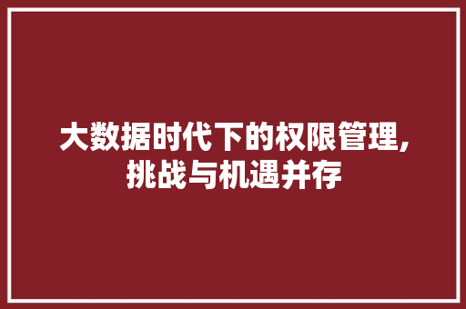 大数据时代下的权限管理,挑战与机遇并存
