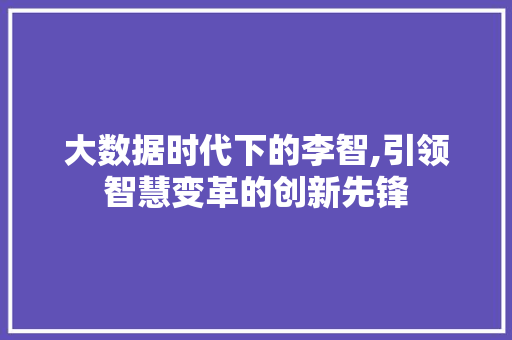 大数据时代下的李智,引领智慧变革的创新先锋 GoogleSEO