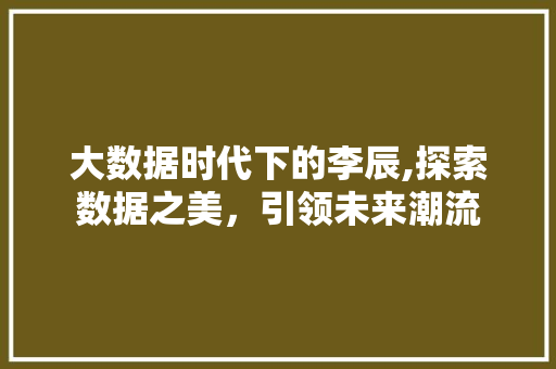 大数据时代下的李辰,探索数据之美，引领未来潮流 神马SEO