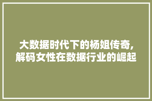 大数据时代下的杨姐传奇,解码女性在数据行业的崛起之路